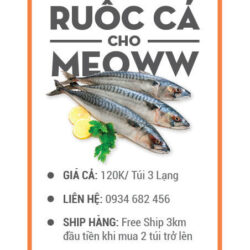 ruocca1-02