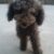 received_1271285056220737 received_1271285056220737