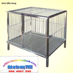 1.2 Mau chung