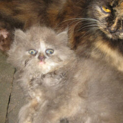 IMG_8188[2]