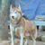 FB_IMG_1487138272945