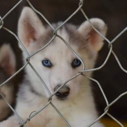 FB_IMG_1487138265669