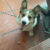 viber image viber image