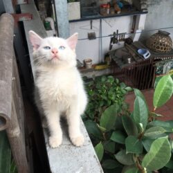 IMG_6542 (Copy)