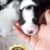 Border collie 7 Border collie 7