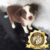 border collie 12 border collie 12