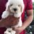 Zalo_636360922149083916 Zalo_636360922149083916