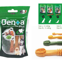 dental