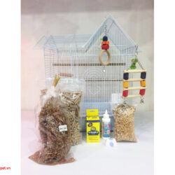 Bộ Kit nuôi chim Yến Phụng