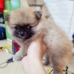 IMG_UPLOAD_20170826_201039