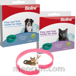 vong-chong-ve-ran-cho-meo-meocunpetshop-0946865620