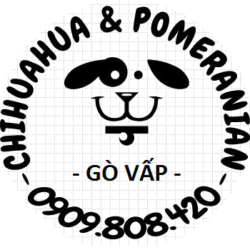 LOGO PNG S