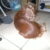 2015-12-21-040 2015-12-21-040