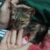 meo3