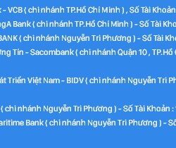 Cần tìm chủ mới cho mấy e này tại hạ long