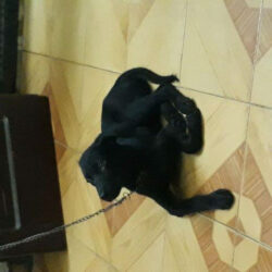 Lab20171006_222703
