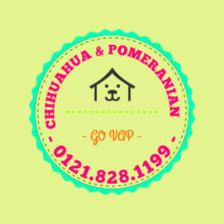 logo màu