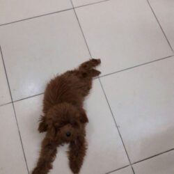 IMG-1887