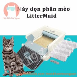 may-don-phan-meo-litter-maid-1
