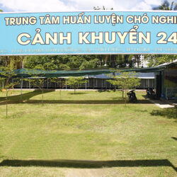 huan-luyen-cho-canh-khuyen-24h
