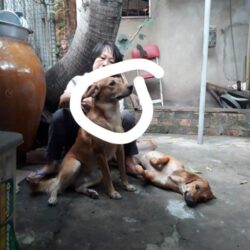 received_1162498897186116