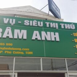 thu cung binh duong (11)