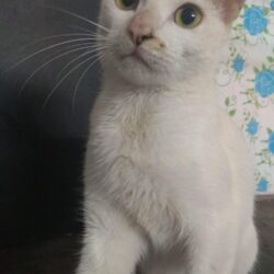received_969290696558005
