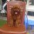 poodle tom poodle tom