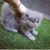 FB_IMG_1517379102936 FB_IMG_1517379102936