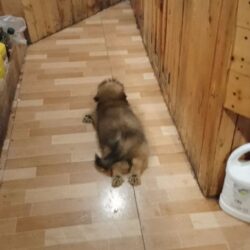 IMG_UPLOAD_20171128_203155