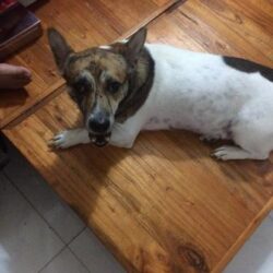 IMG_6415