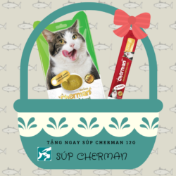 CHERMAN (2)