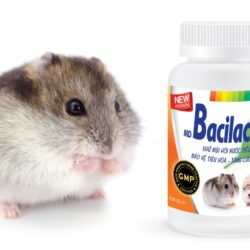 BacilacPlus_Hamster_1_small
