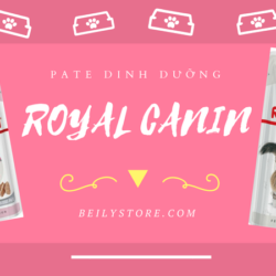 PATE DINH DƯỠNG
