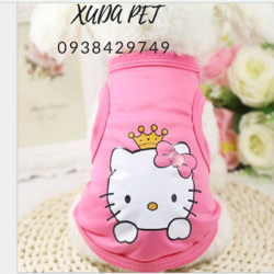 ao thun kitty