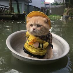 D42D15D2-C72C-45EC-8295-7DF43F955D7D