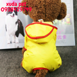 ao mua cho meo