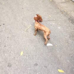 IMG_0088