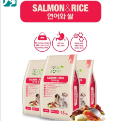Thức ăn cao cấp HQ Natural Born-Rice & Salmon