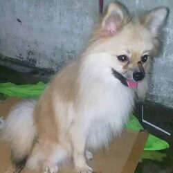 received_644693725891525