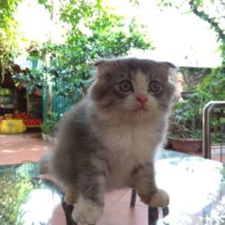 received_2223950597841496