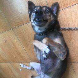 1111