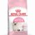 16-KITTEN-B1-RU-Packaging-Packshots-000006_2.0_jpeg_72 16-KITTEN-B1-RU-Packaging-Packshots-000006_2.0_jpeg_72