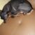 FB_IMG_1537054005792