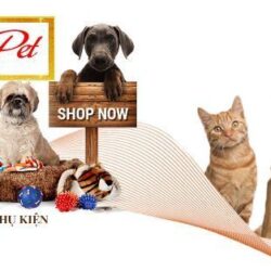 meocunpetshop-banner-1b