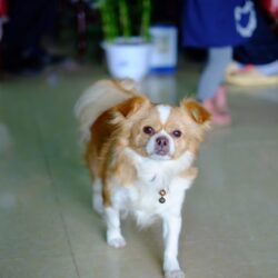 IMG_0581
