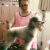 J&Pet Shop Đà Nẵng - Cung cấp phụ kiện, Spa chó mèo - Image 2