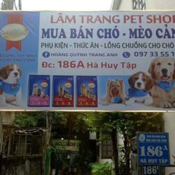 Lâm Trang Pet Shop Vinh - Phối giống chó, phụ kiện thú cưng