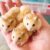 Moon Pet Shop Cần Thơ - Bán Hamster, phụ kiện thú cưng Moon Pet Shop Cần Thơ - Bán Hamster, phụ kiện thú cưng