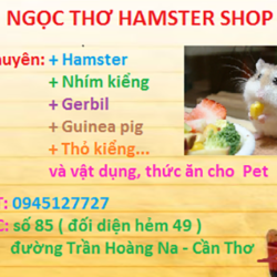 Ngọc Thơ Pet Shop - Mua bán giống chuột Hamster